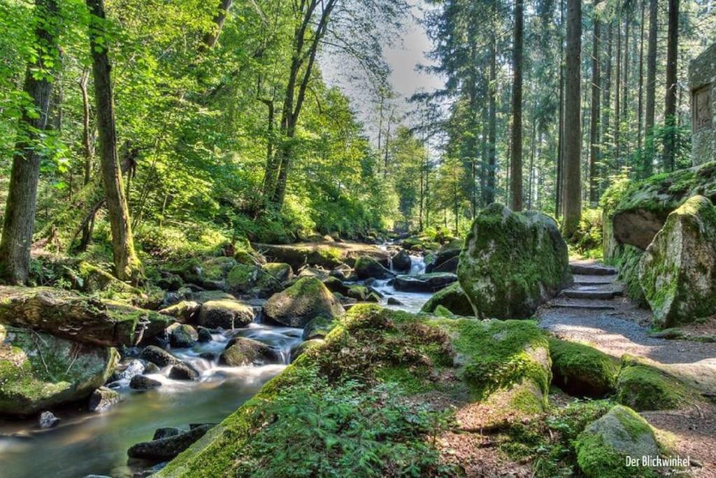 Cozy I Blockhuette Im Nationalpark I Ferienwohnung Нойрайхенау Екстер'єр фото